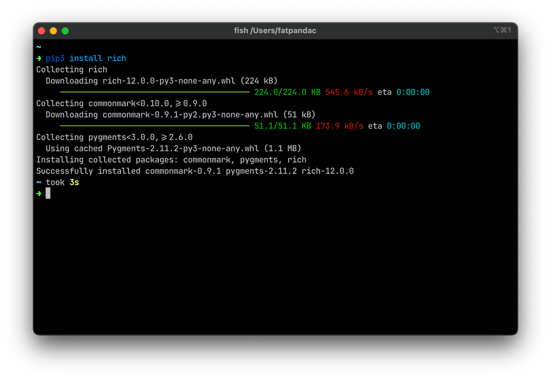 pip installing rich after switching to python3.10